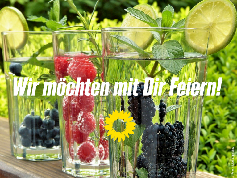 Sommerfest der Egelsbacher & Langener Grünen: